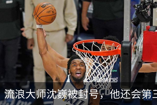 流浪大师沈巍被封号，他还会第三次复出么？
